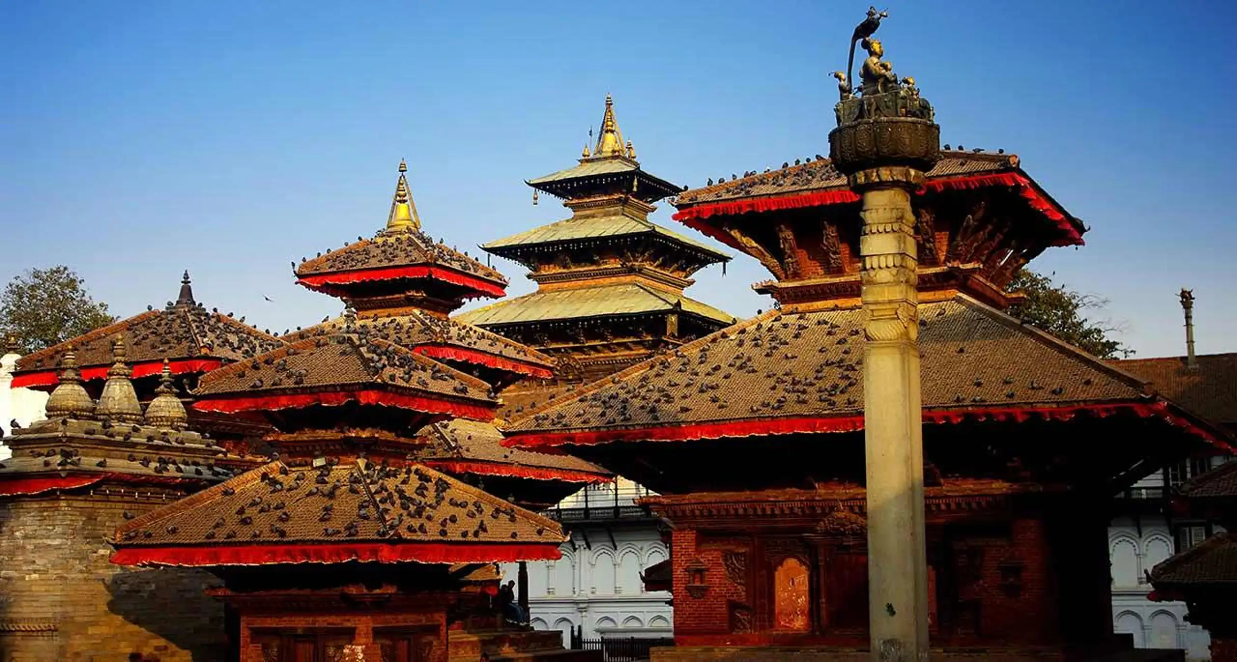 Best Time to Go Trekking in Nepal: 12 Month by Month Guide