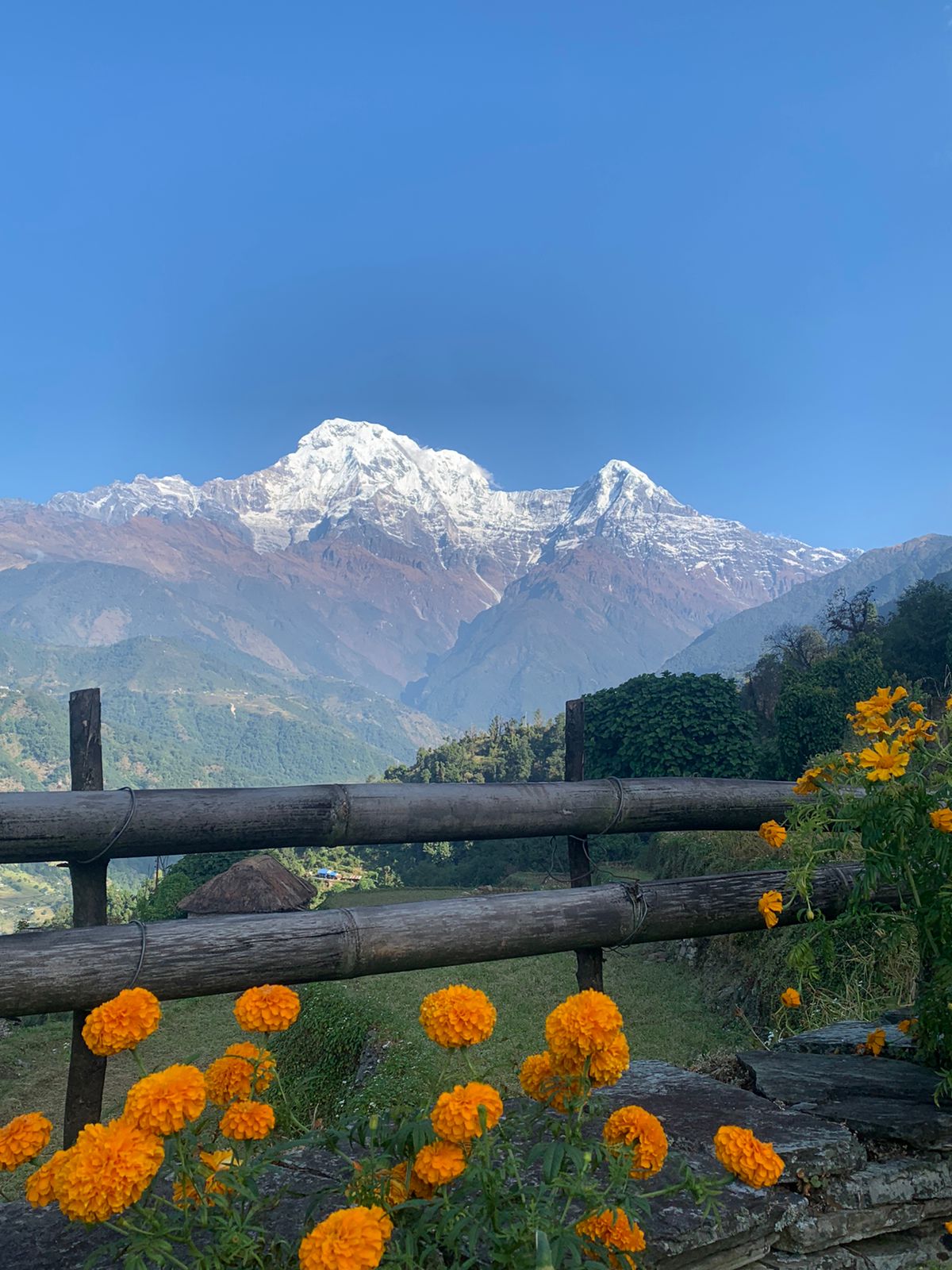 9-Day Yoga and Meditation Tour in Nepal: Kathmandu, Pokhara, Lumbini, and Chitwan