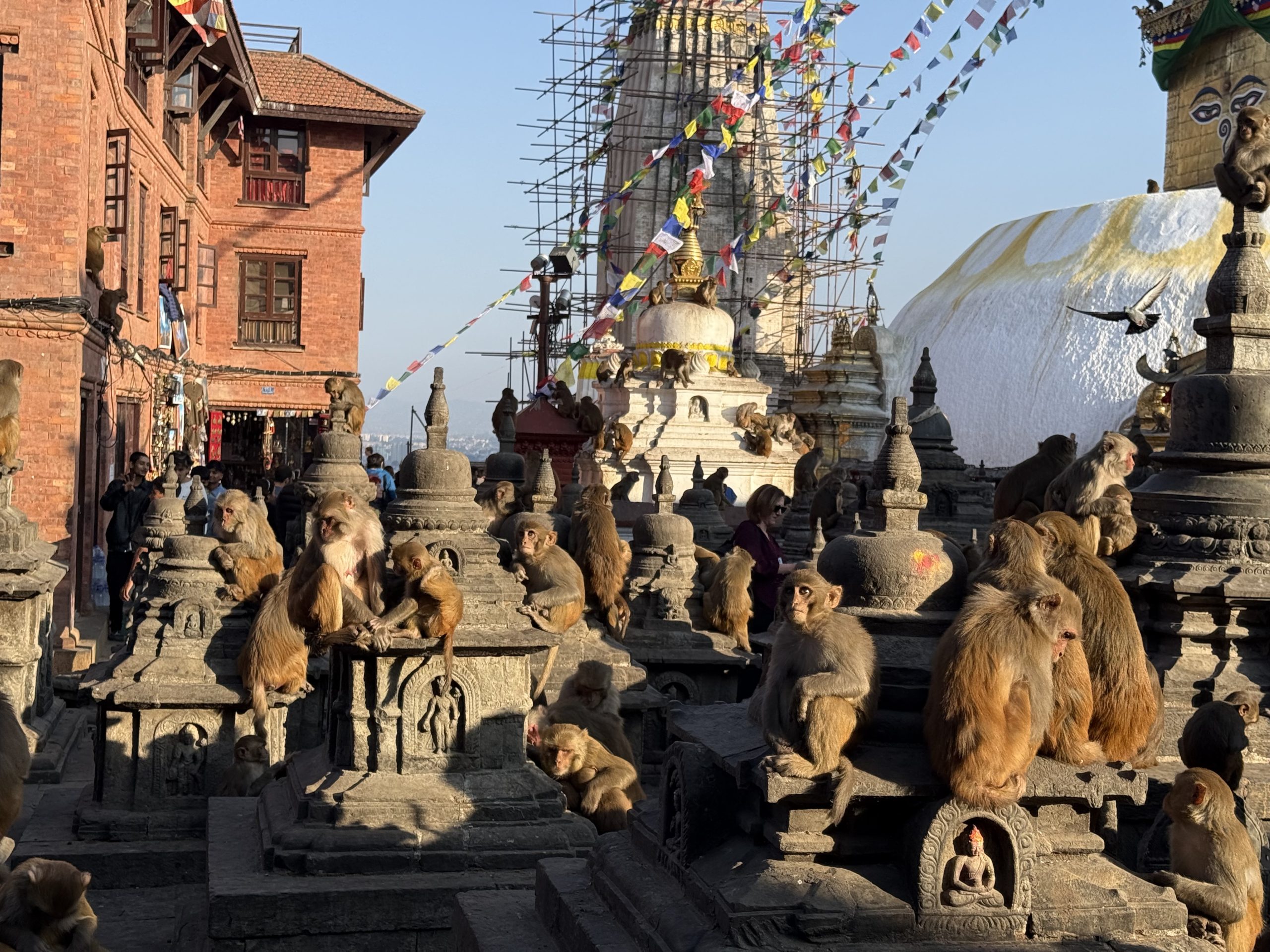 Nepal Trekking and Tour Package Hot Deals for 2026 – Save Big on Your 1st Himalayan Journey