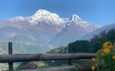 9-Day Yoga and Meditation Tour in Nepal: Kathmandu, Pokhara, Lumbini, and Chitwan