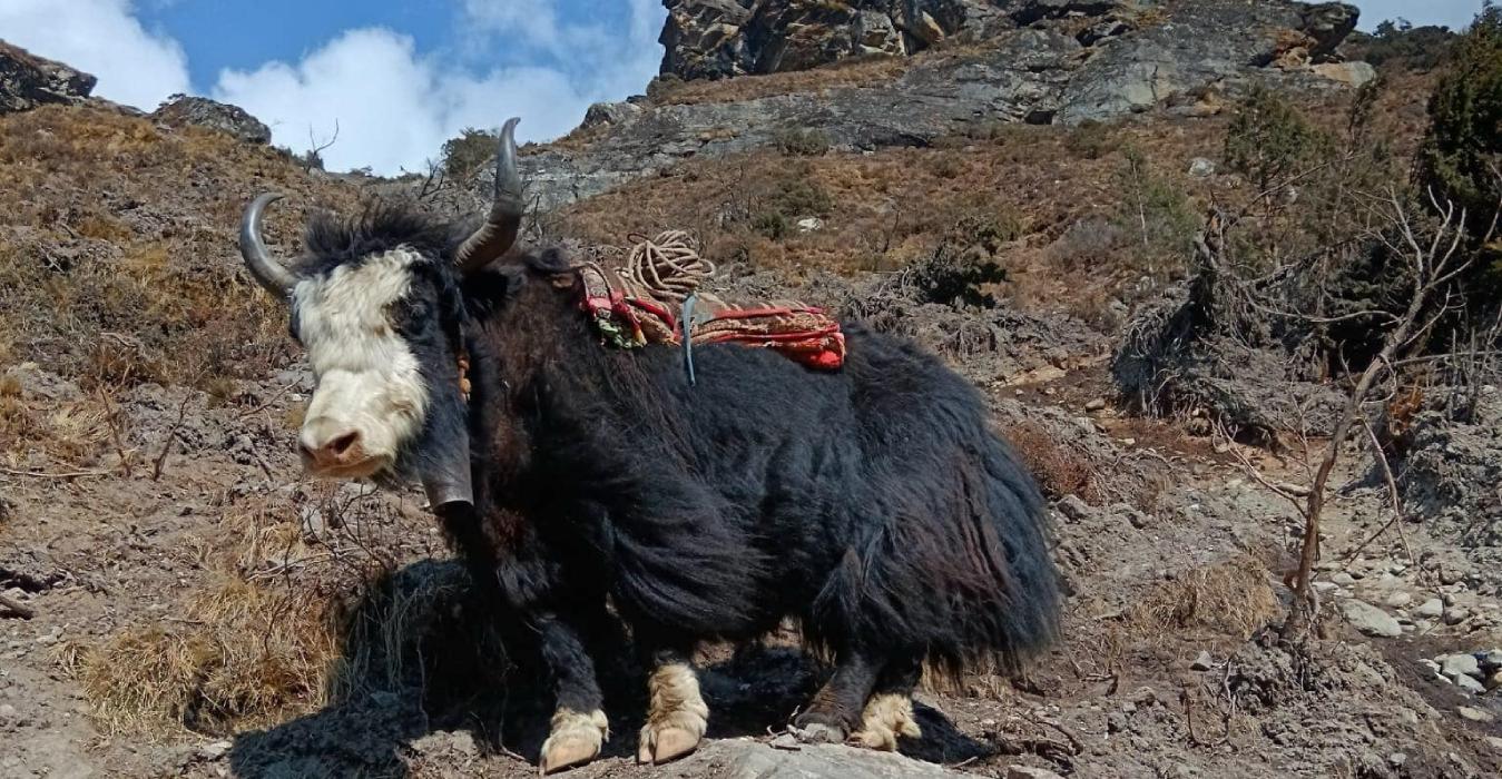 Nepal Spiritual Tours